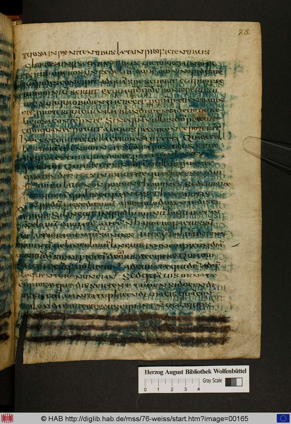 http://diglib.hab.de/mss/76-weiss/00165.jpg