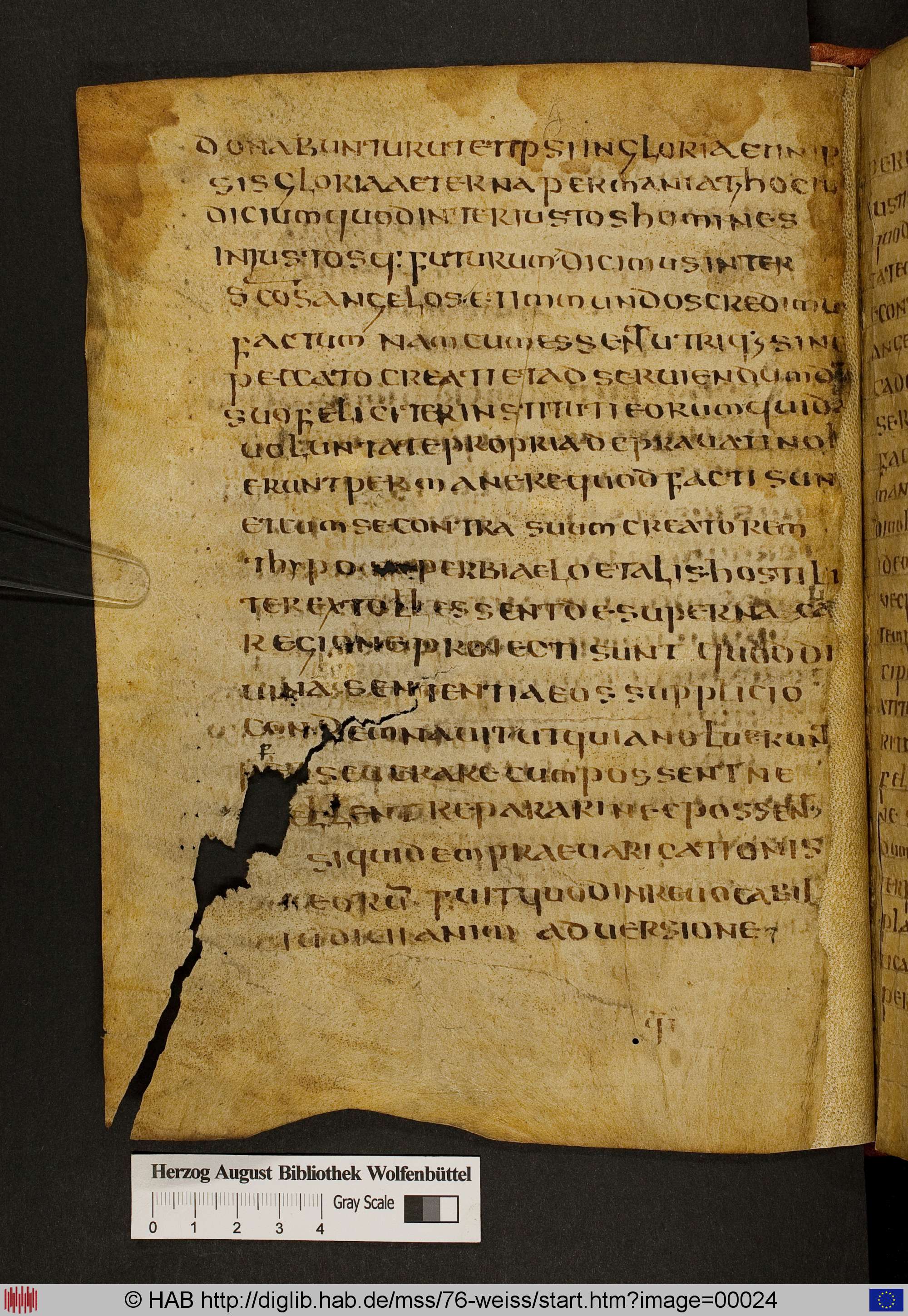 http://diglib.hab.de/mss/76-weiss/max/00024.jpg