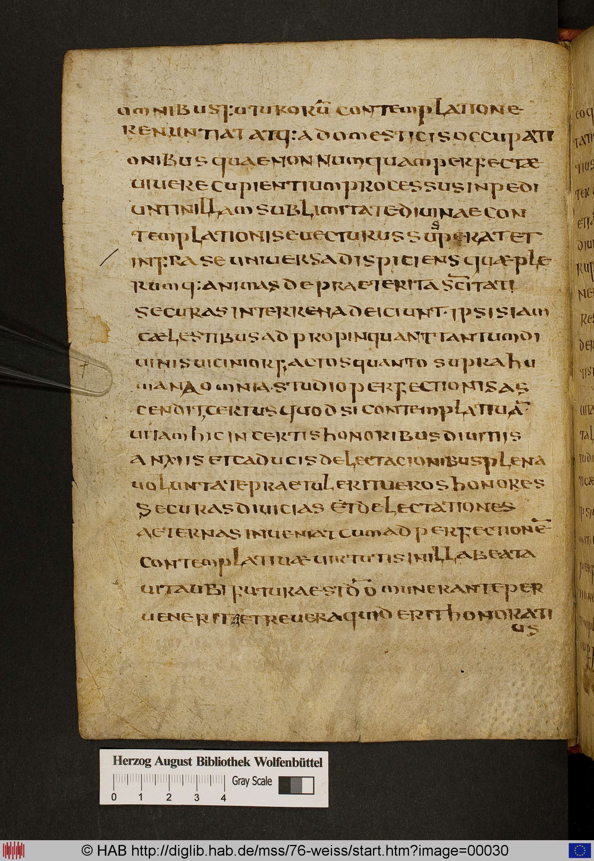 http://diglib.hab.de/mss/76-weiss/max/00030.jpg