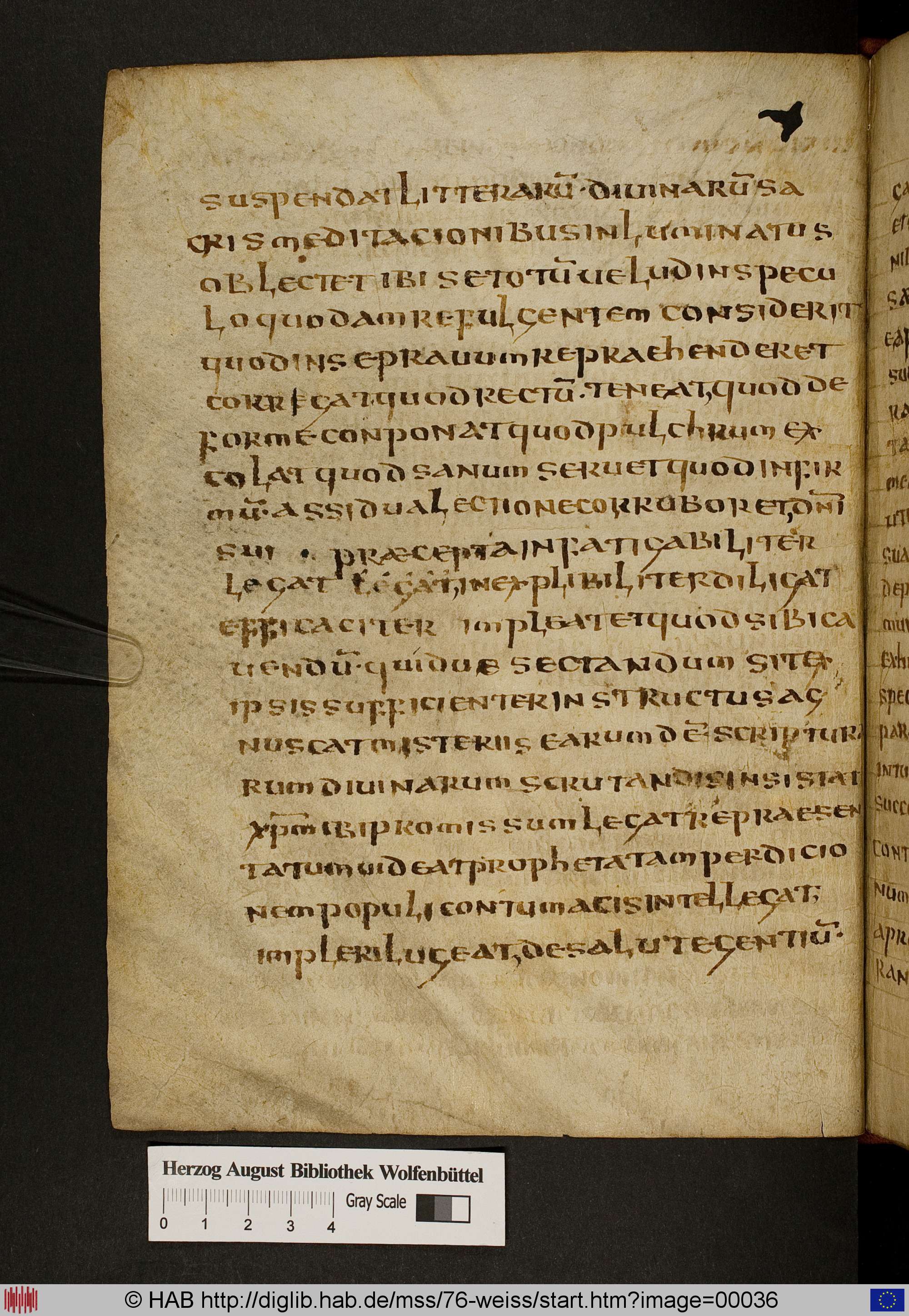 http://diglib.hab.de/mss/76-weiss/max/00036.jpg