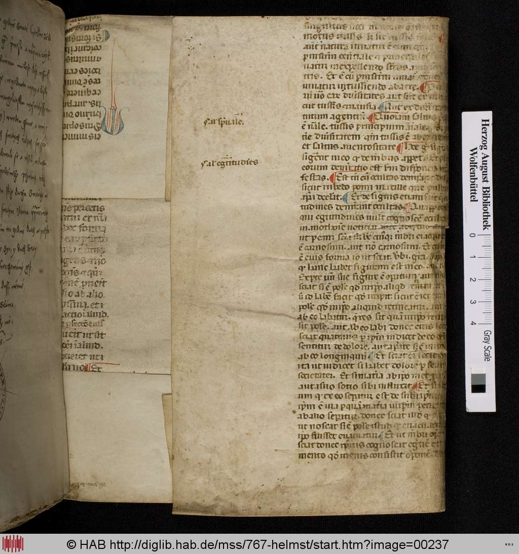 http://diglib.hab.de/mss/767-helmst/00237.jpg