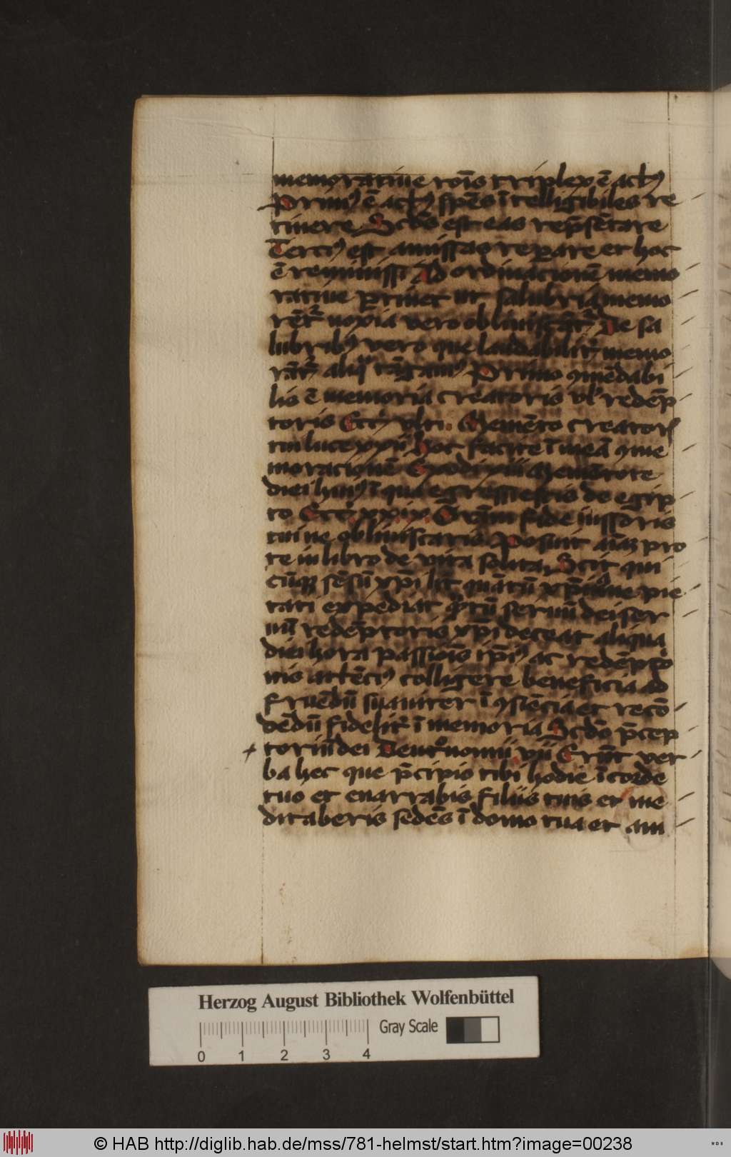 http://diglib.hab.de/mss/781-helmst/00238.jpg