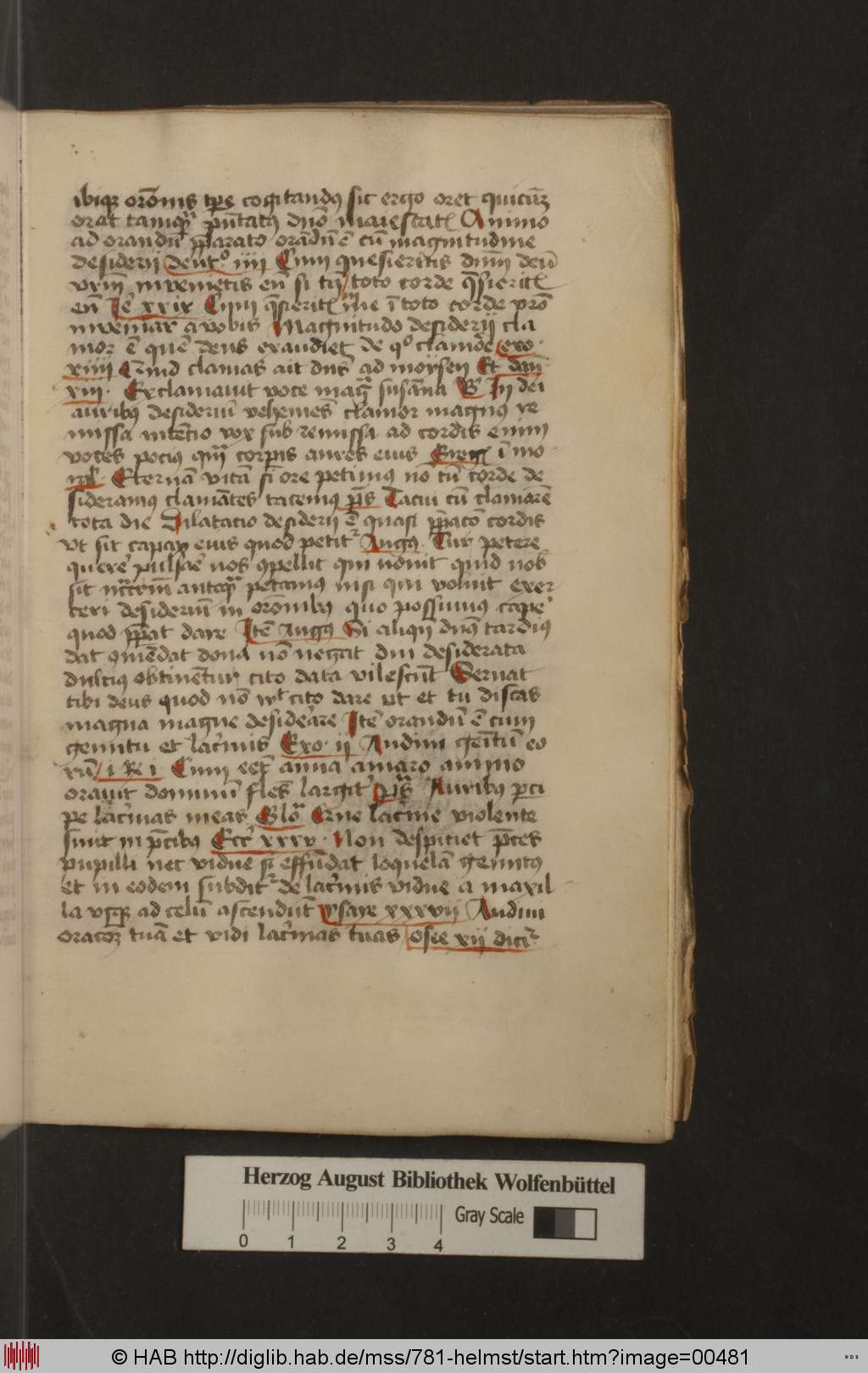 http://diglib.hab.de/mss/781-helmst/00481.jpg