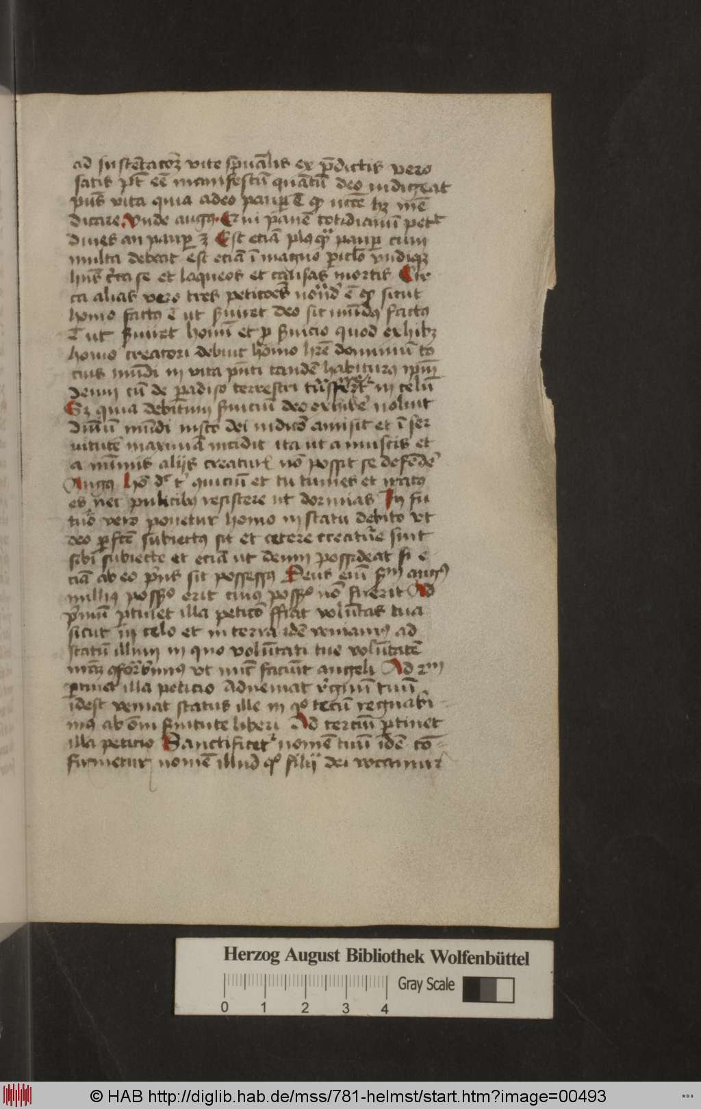 http://diglib.hab.de/mss/781-helmst/00493.jpg