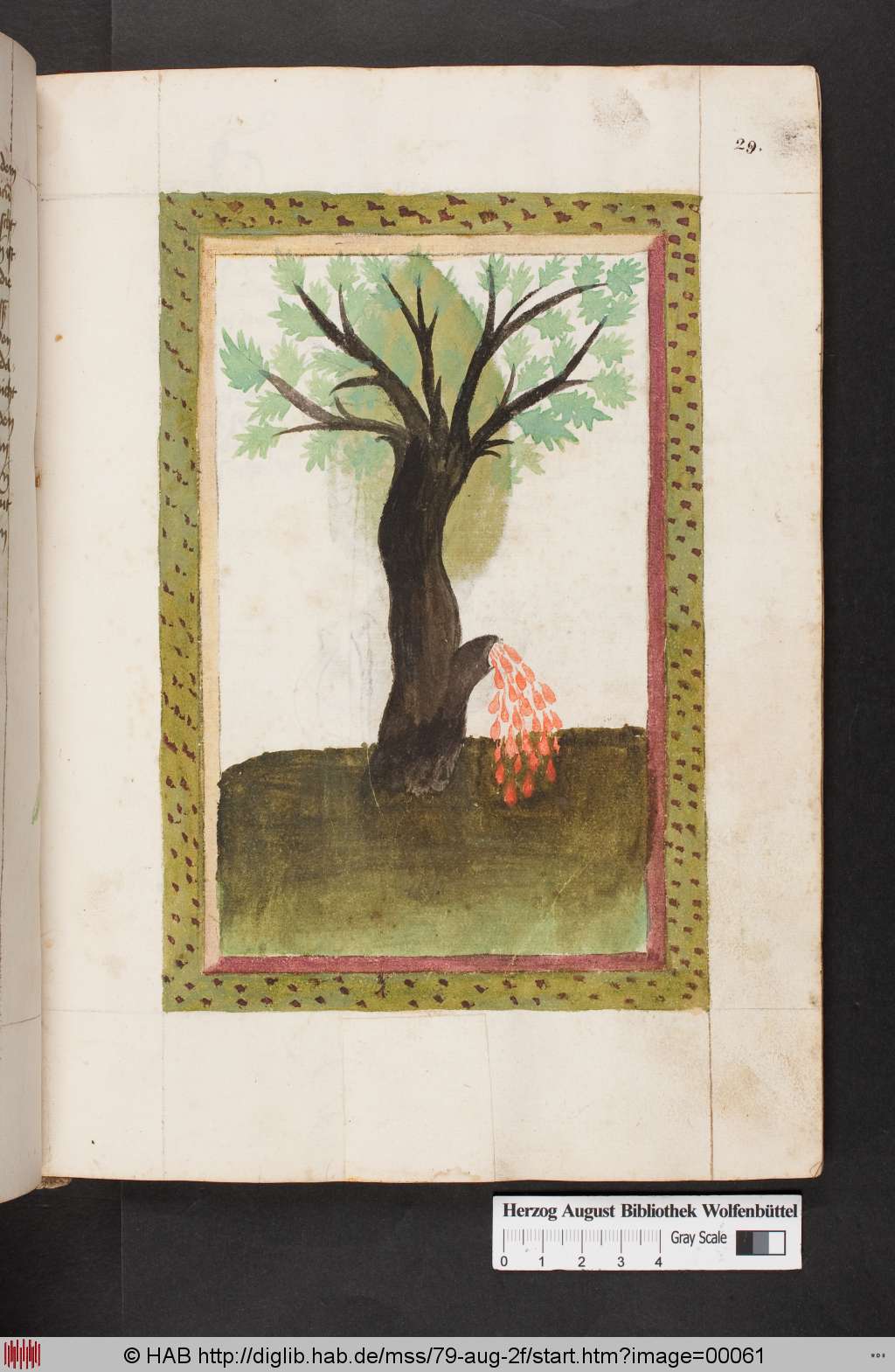 http://diglib.hab.de/mss/79-aug-2f/00061.jpg