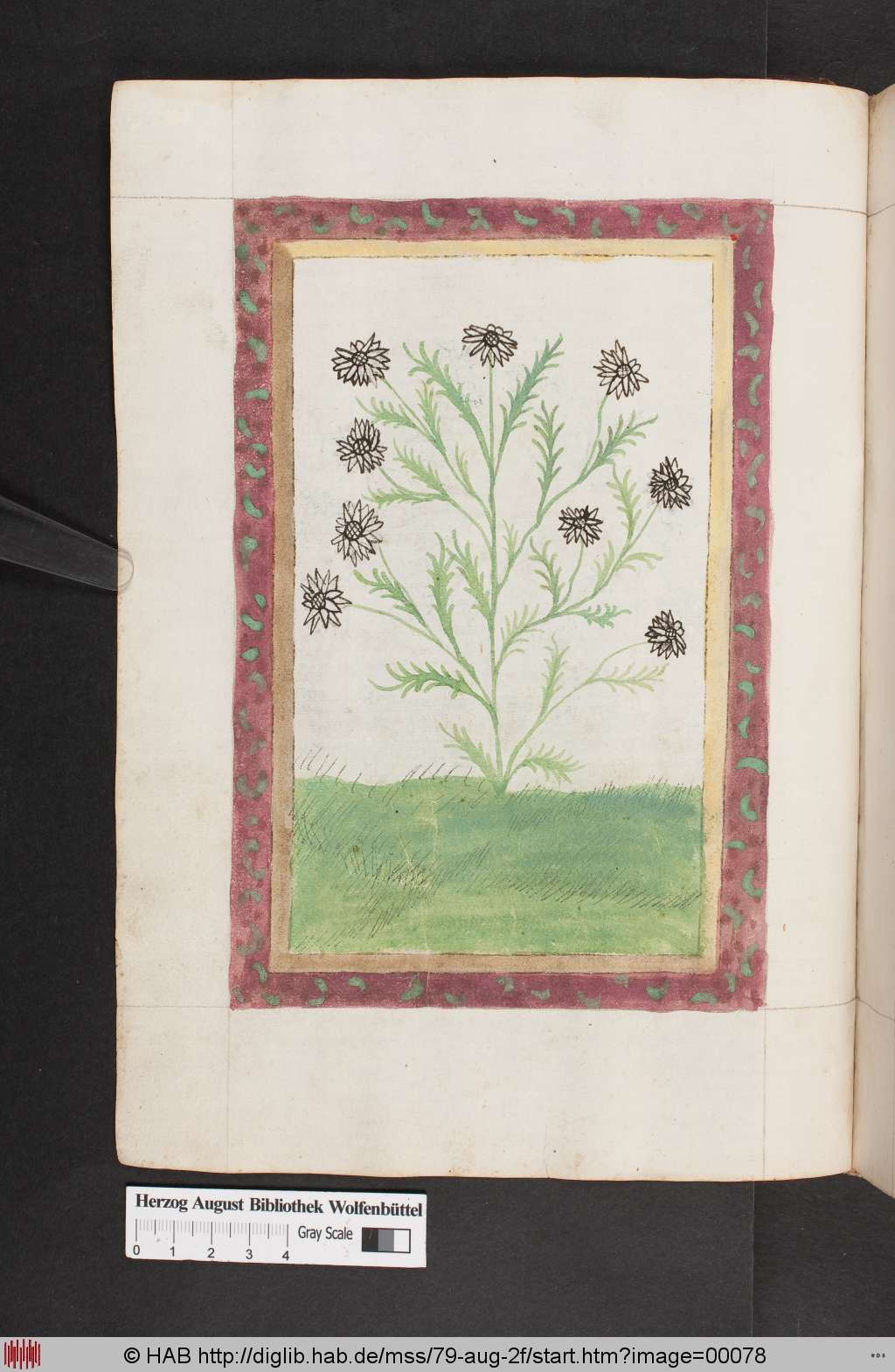 http://diglib.hab.de/mss/79-aug-2f/00078.jpg