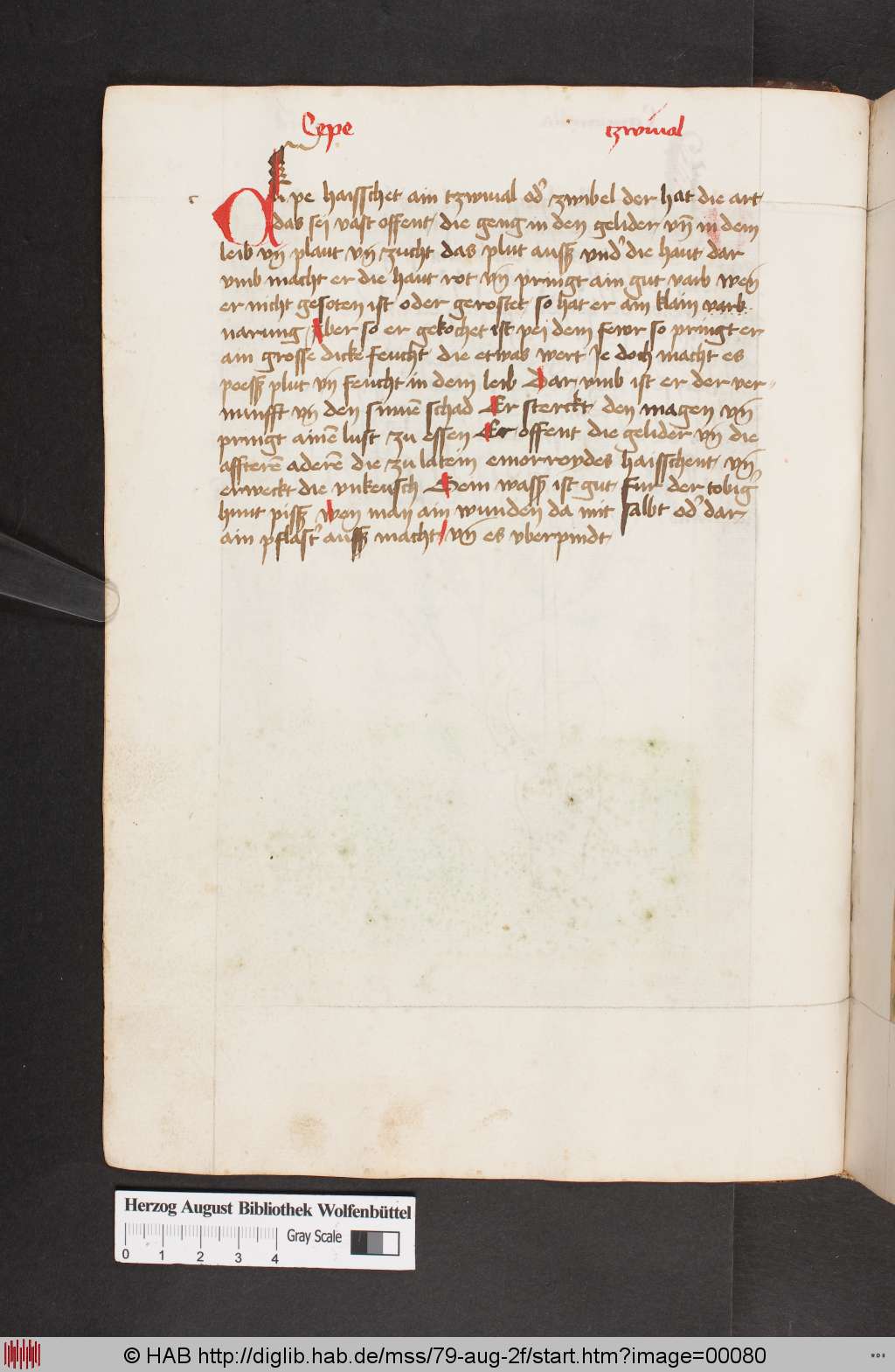 http://diglib.hab.de/mss/79-aug-2f/00080.jpg