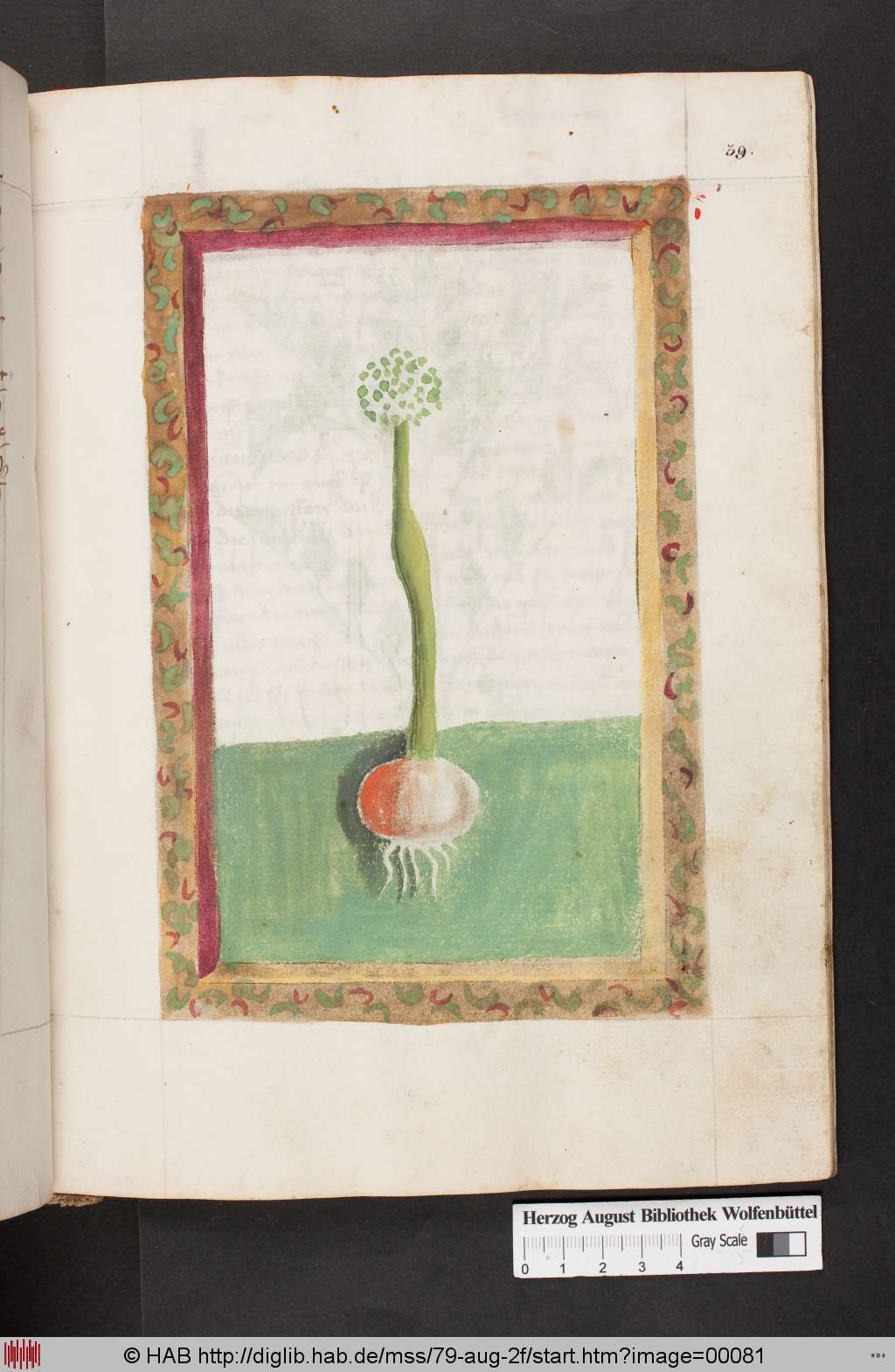 http://diglib.hab.de/mss/79-aug-2f/00081.jpg
