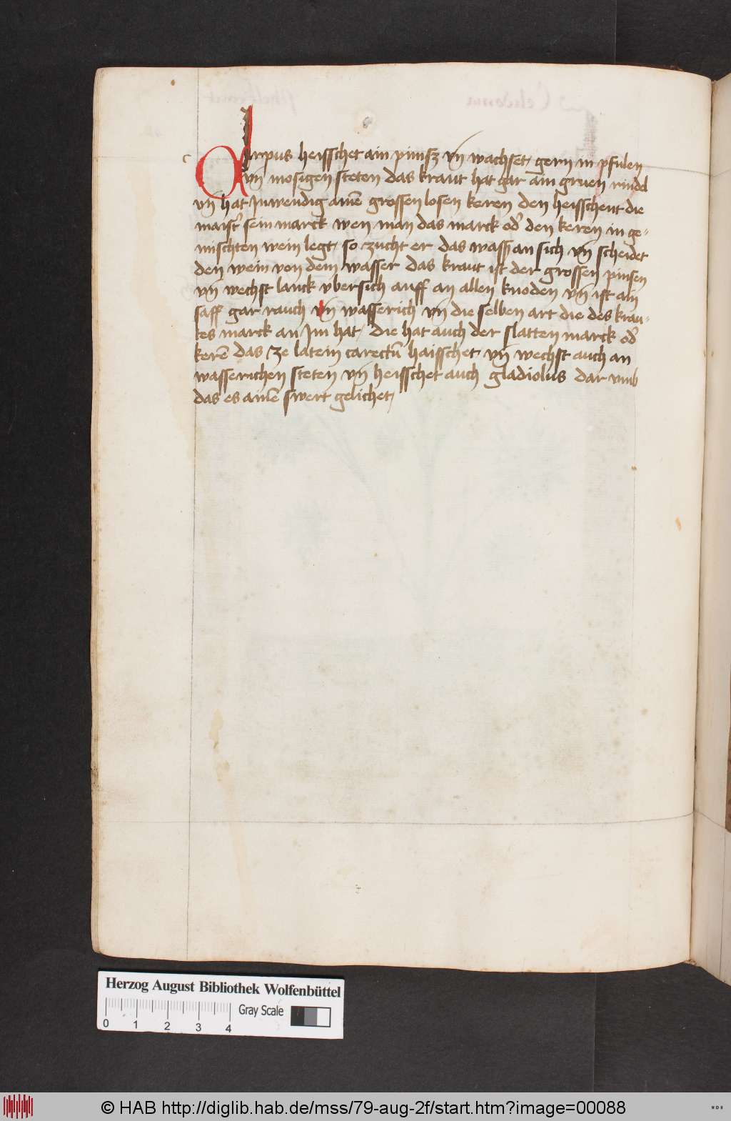 http://diglib.hab.de/mss/79-aug-2f/00088.jpg