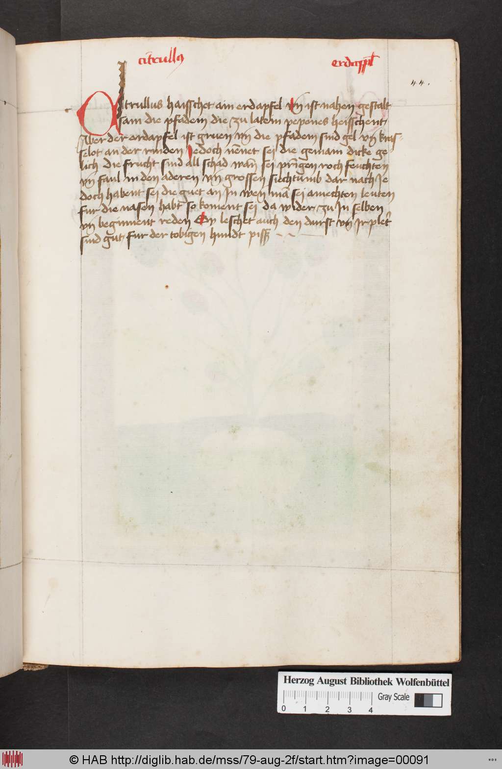 http://diglib.hab.de/mss/79-aug-2f/00091.jpg