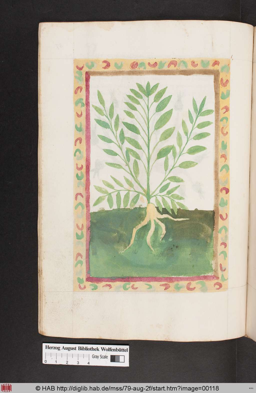 http://diglib.hab.de/mss/79-aug-2f/00118.jpg