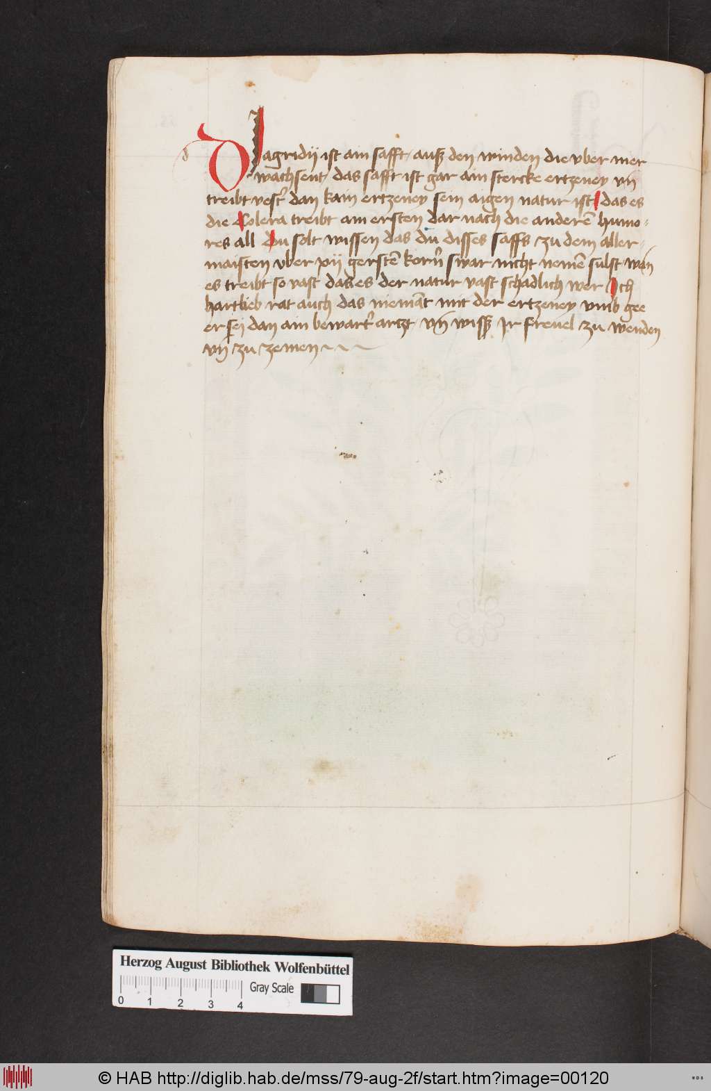 http://diglib.hab.de/mss/79-aug-2f/00120.jpg