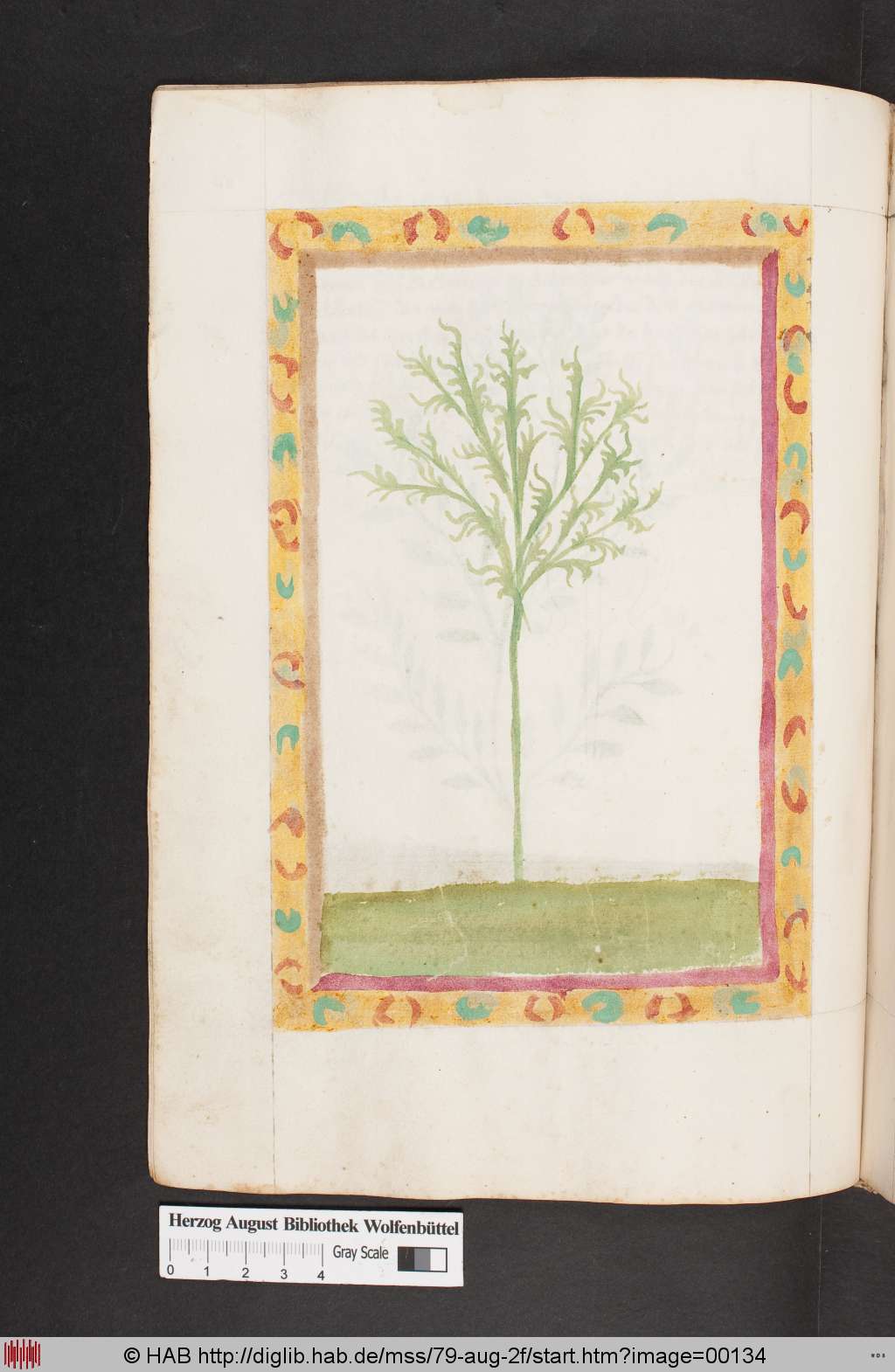http://diglib.hab.de/mss/79-aug-2f/00134.jpg