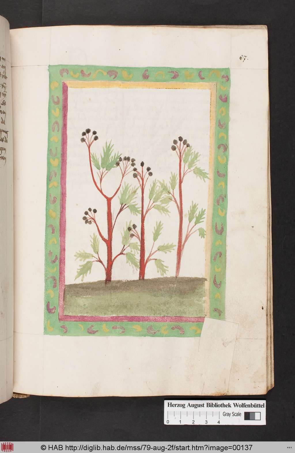 http://diglib.hab.de/mss/79-aug-2f/00137.jpg