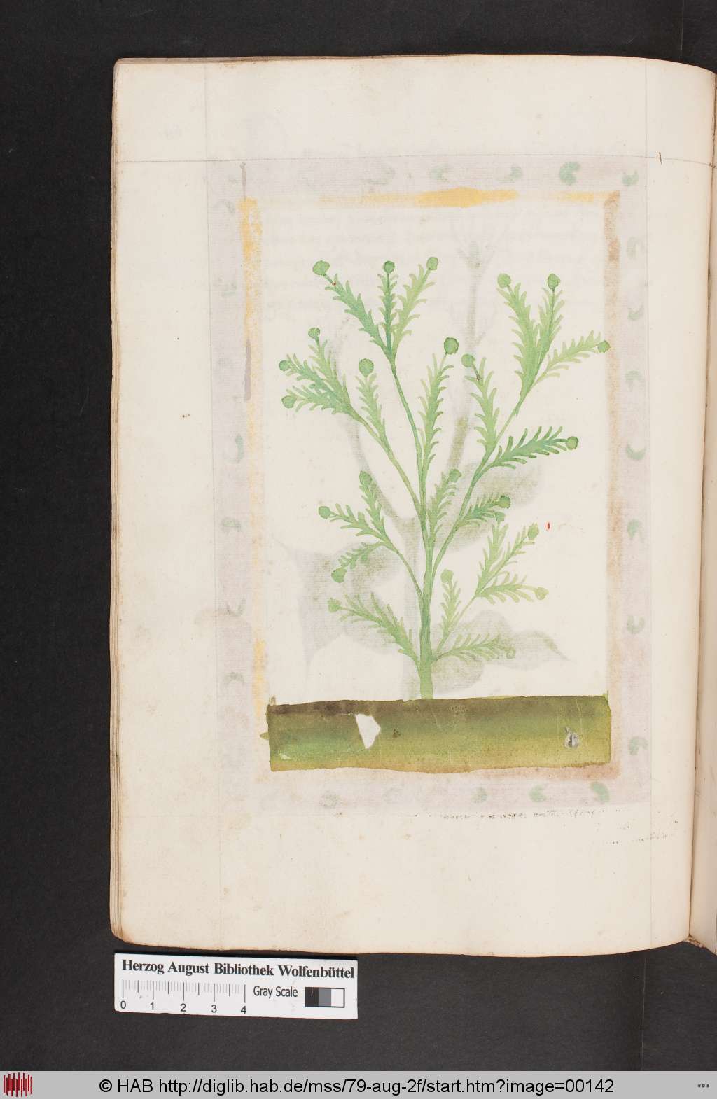 http://diglib.hab.de/mss/79-aug-2f/00142.jpg