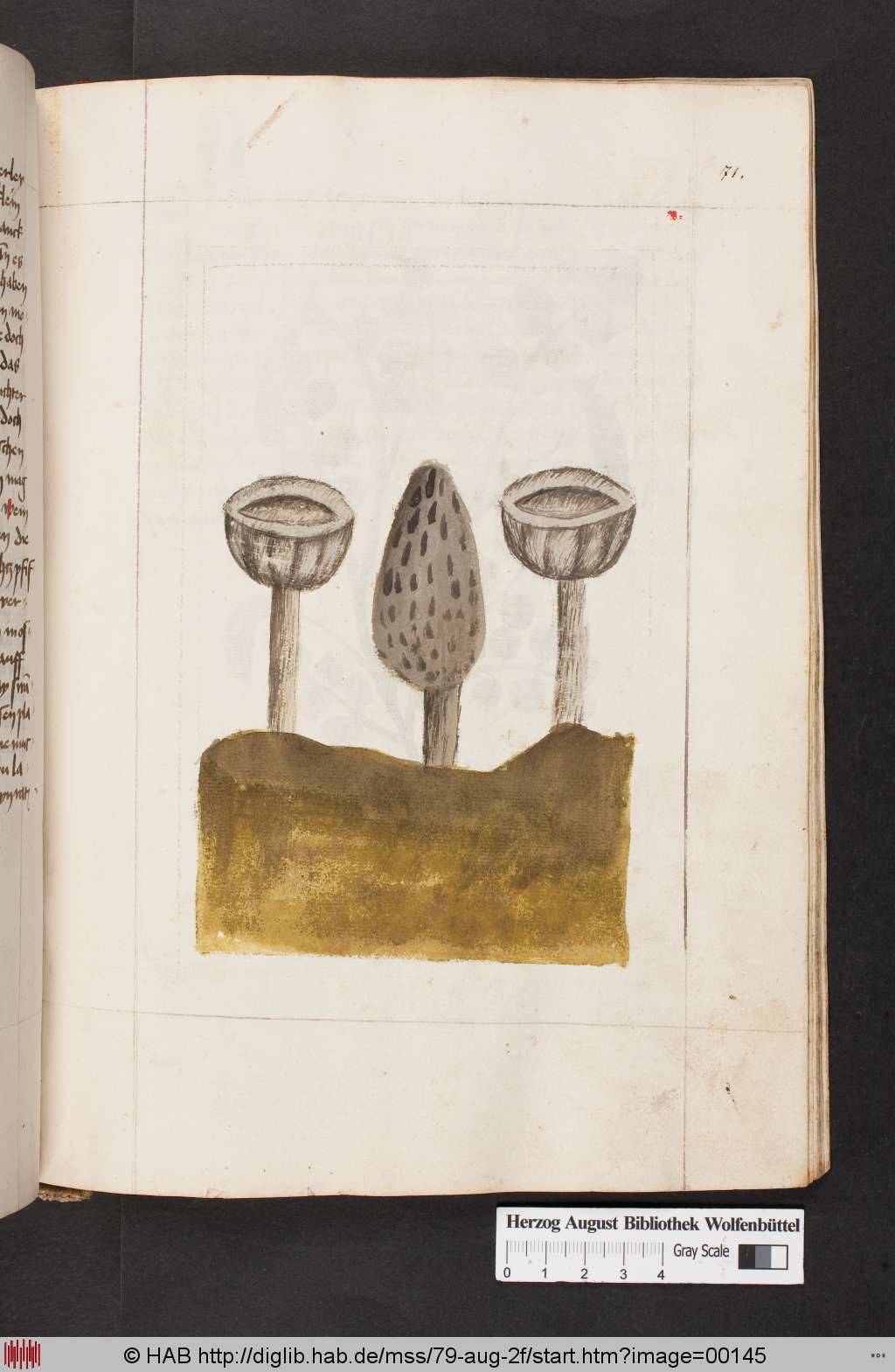 http://diglib.hab.de/mss/79-aug-2f/00145.jpg