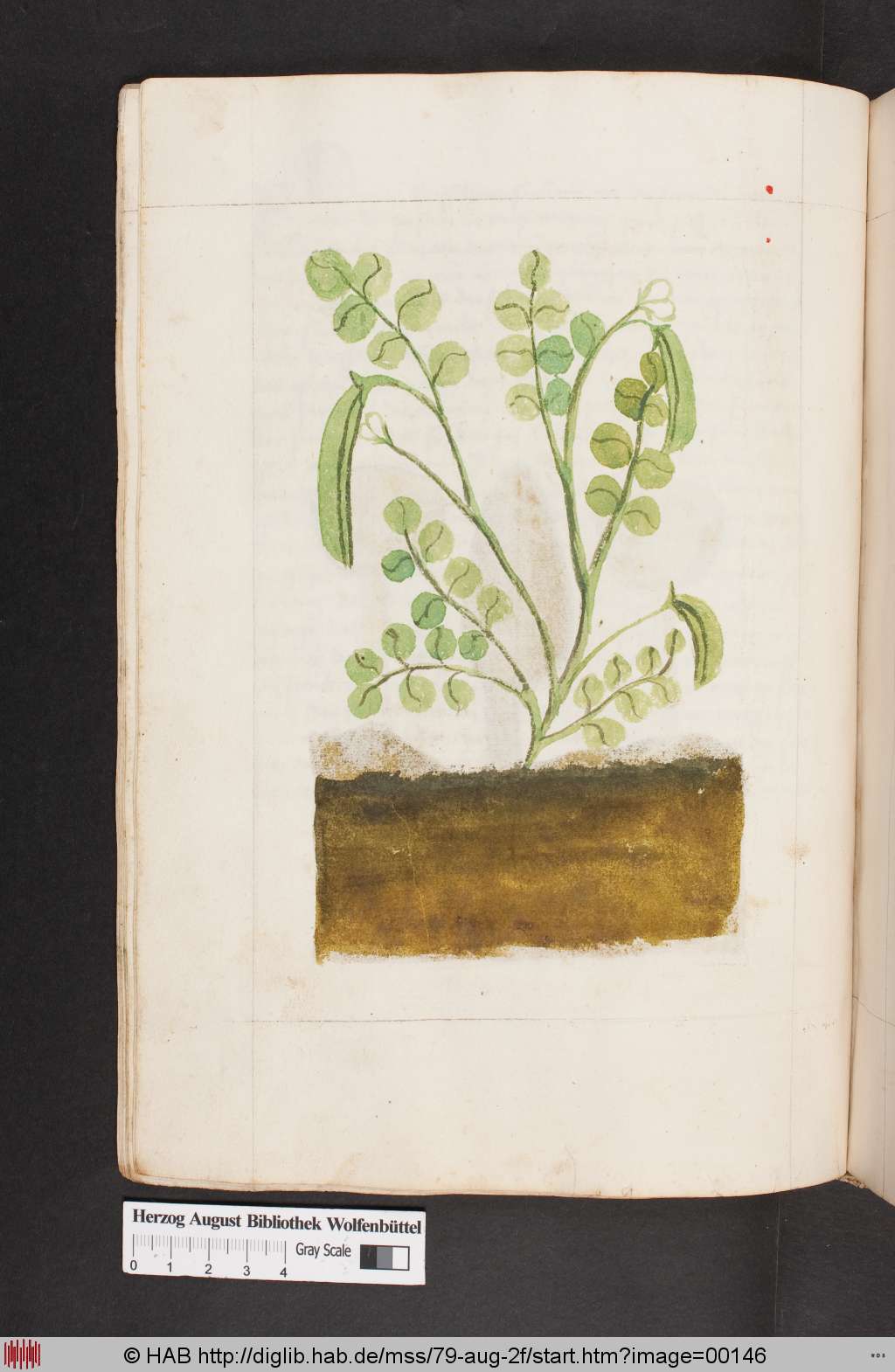 http://diglib.hab.de/mss/79-aug-2f/00146.jpg