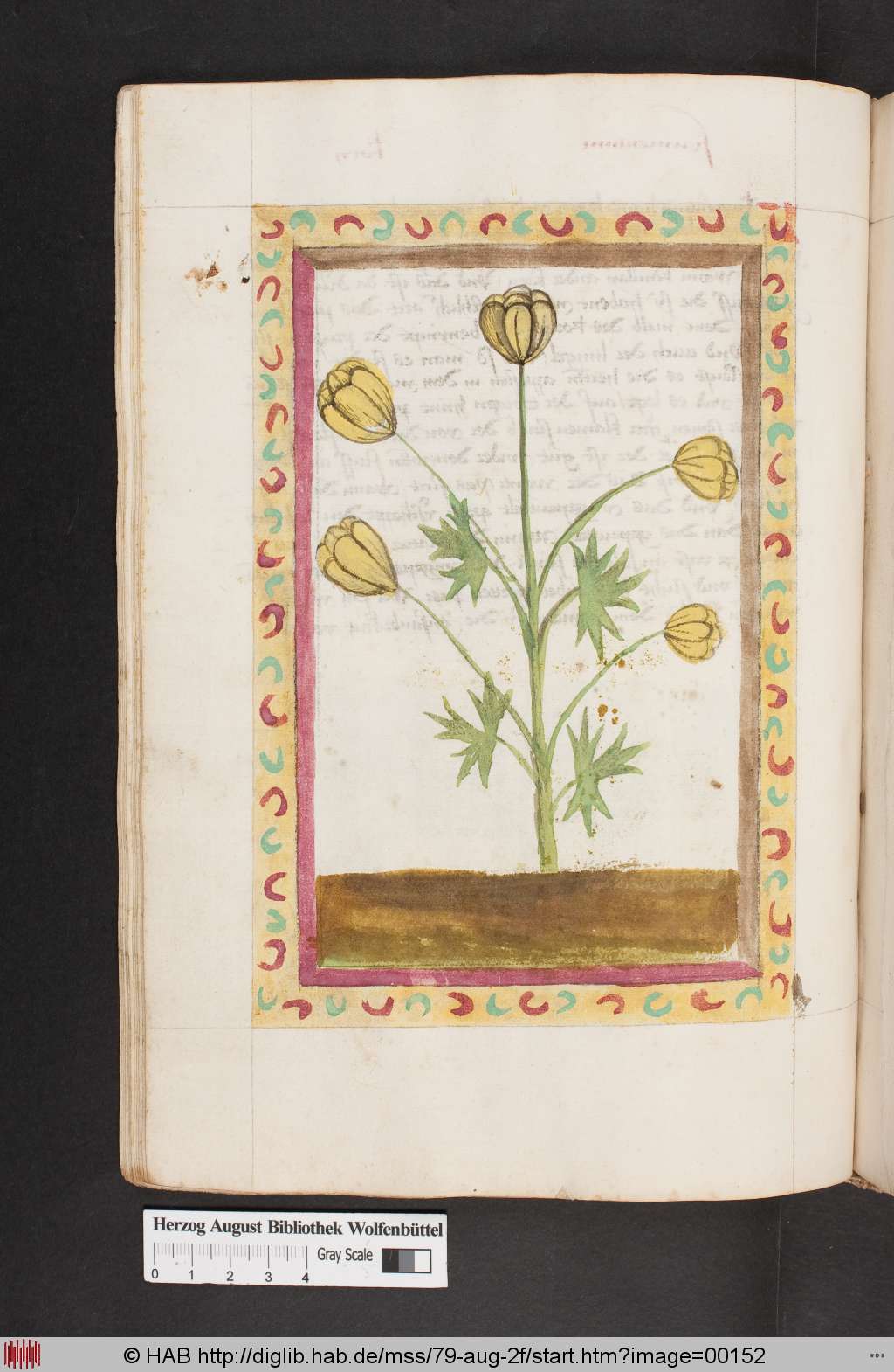 http://diglib.hab.de/mss/79-aug-2f/00152.jpg