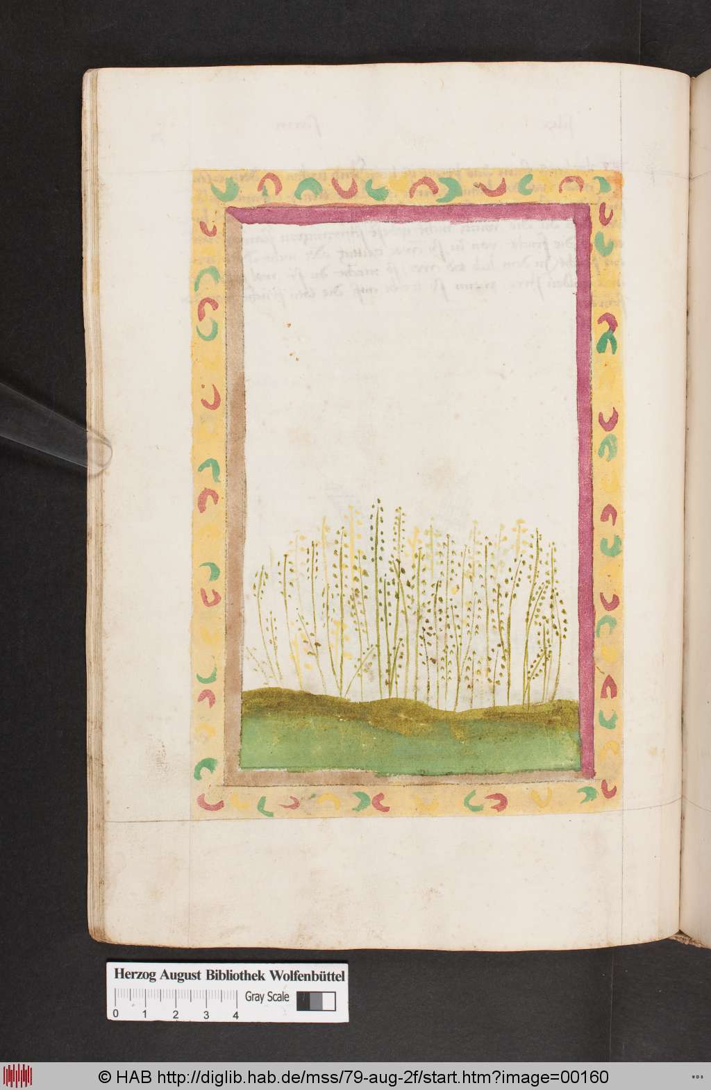 http://diglib.hab.de/mss/79-aug-2f/00160.jpg