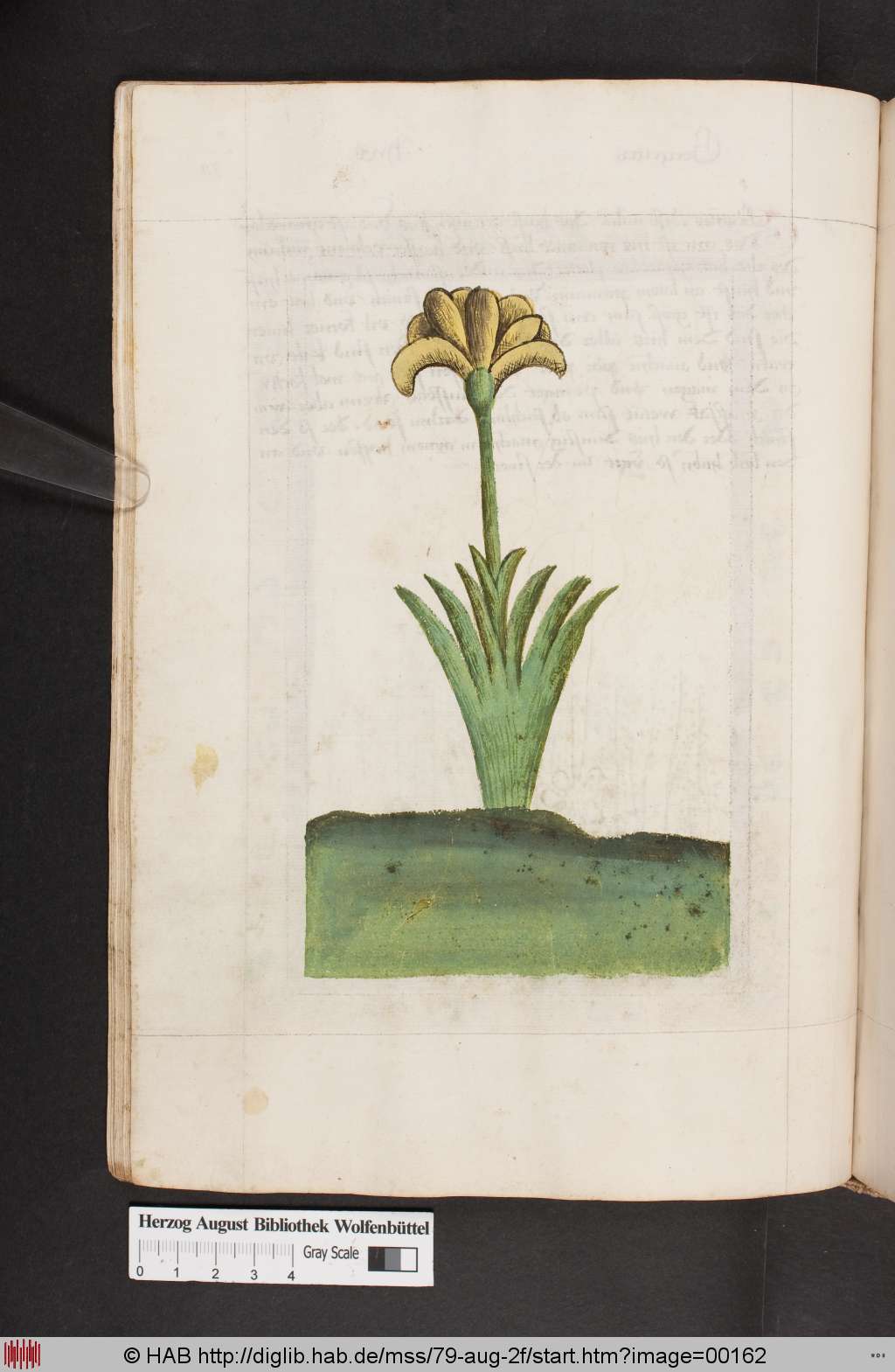 http://diglib.hab.de/mss/79-aug-2f/00162.jpg