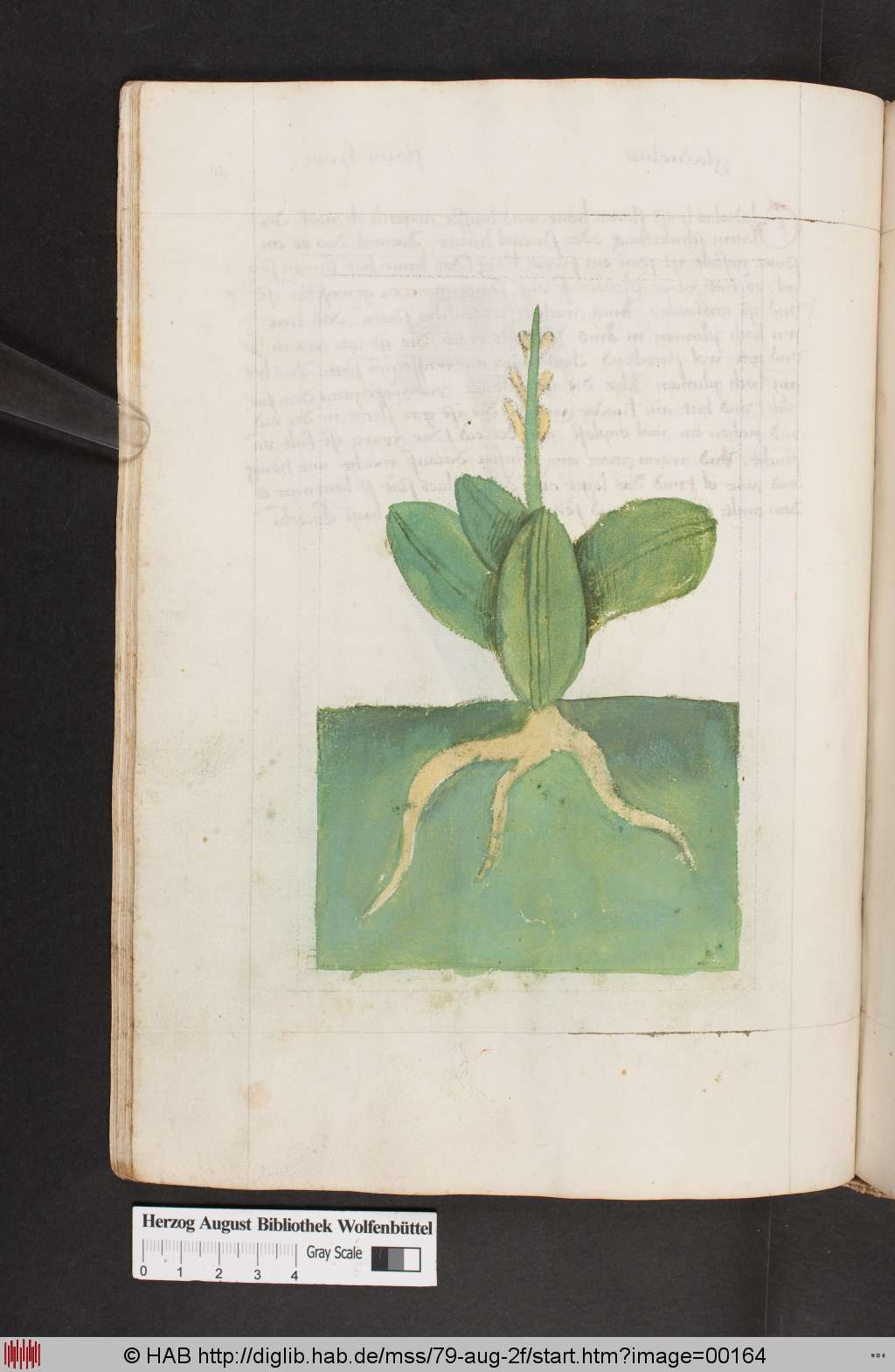 http://diglib.hab.de/mss/79-aug-2f/00164.jpg