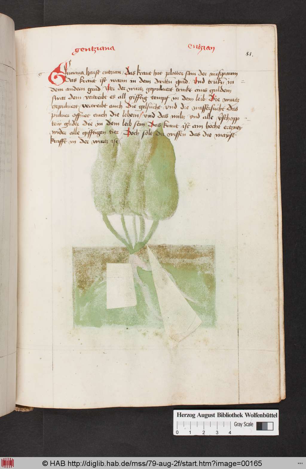 http://diglib.hab.de/mss/79-aug-2f/00165.jpg
