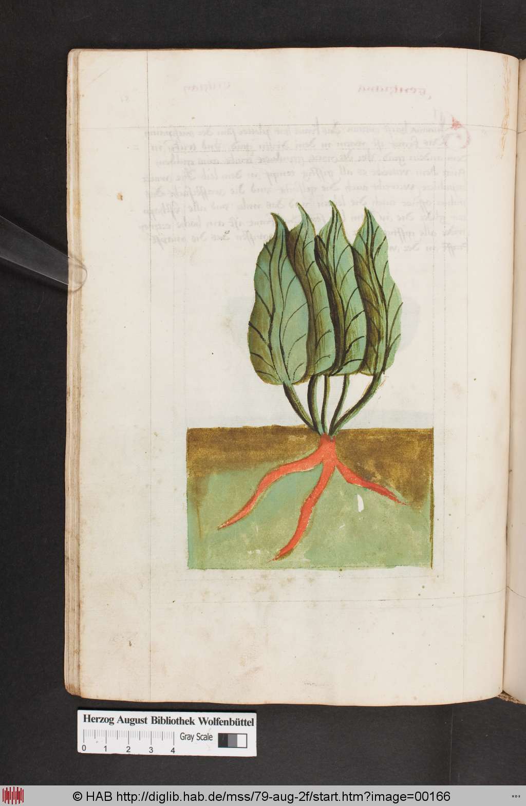 http://diglib.hab.de/mss/79-aug-2f/00166.jpg