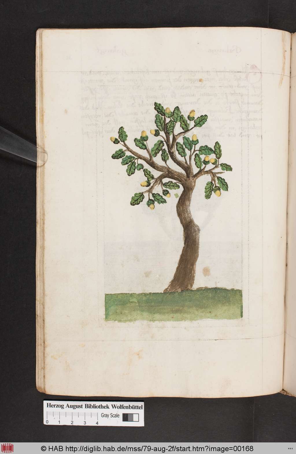 http://diglib.hab.de/mss/79-aug-2f/00168.jpg