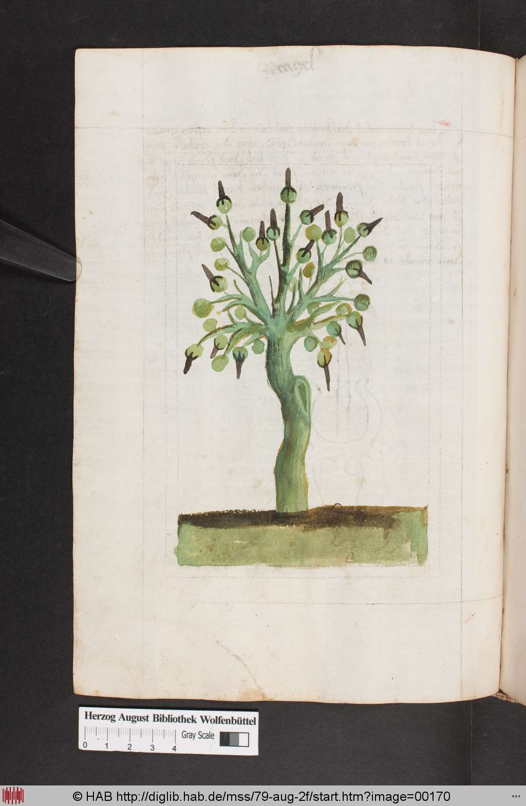 http://diglib.hab.de/mss/79-aug-2f/00170.jpg