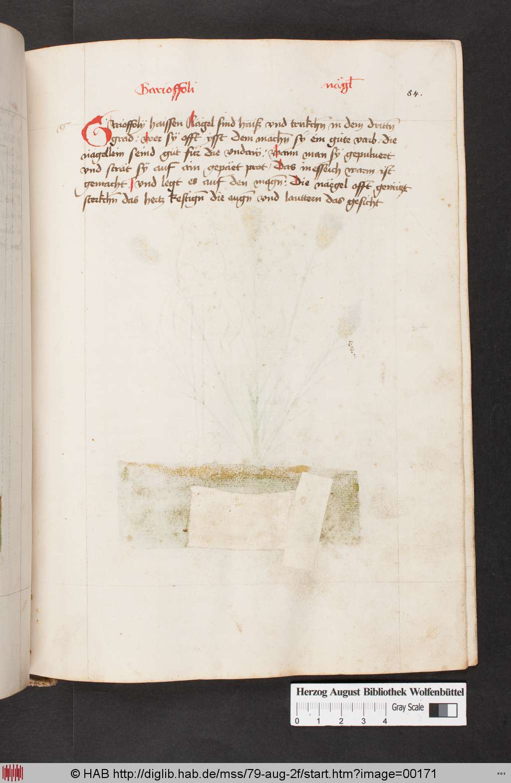http://diglib.hab.de/mss/79-aug-2f/00171.jpg