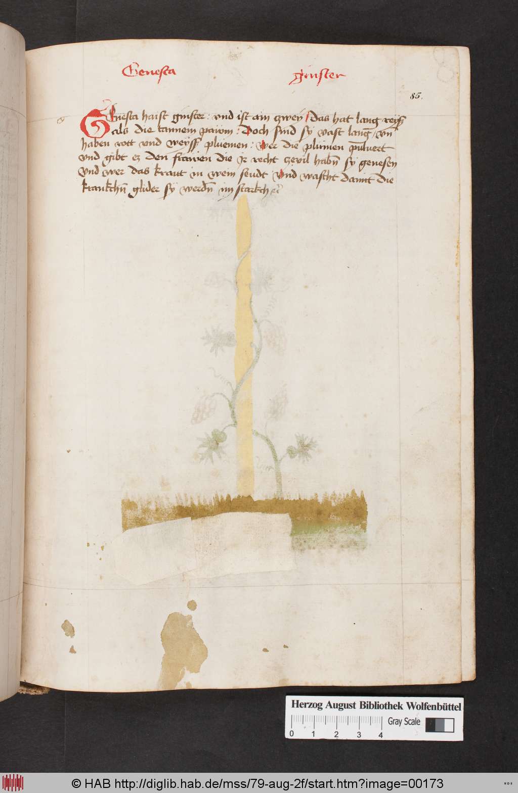 http://diglib.hab.de/mss/79-aug-2f/00173.jpg