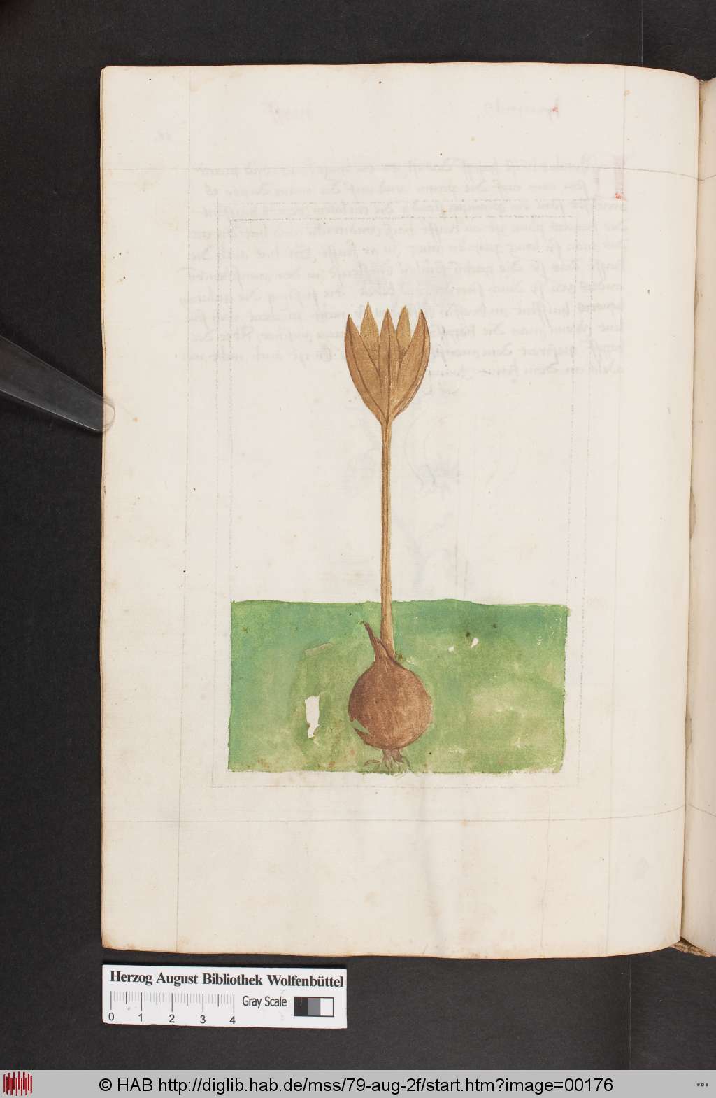 http://diglib.hab.de/mss/79-aug-2f/00176.jpg