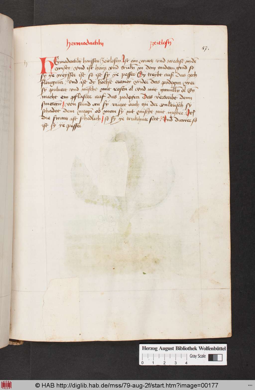 http://diglib.hab.de/mss/79-aug-2f/00177.jpg