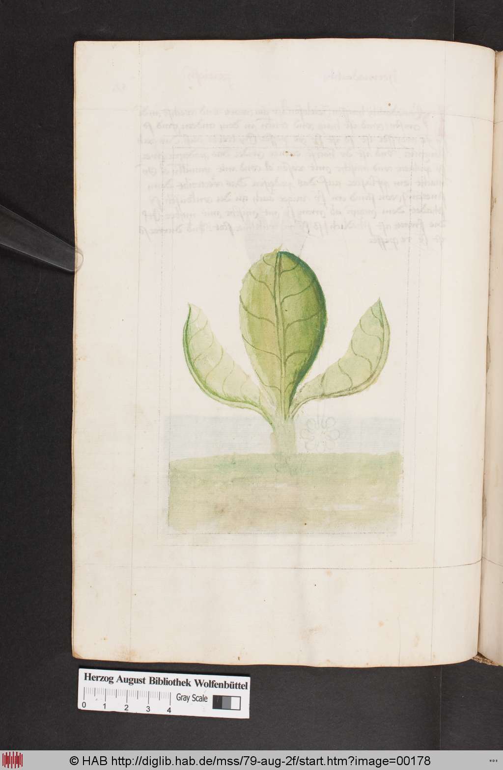 http://diglib.hab.de/mss/79-aug-2f/00178.jpg