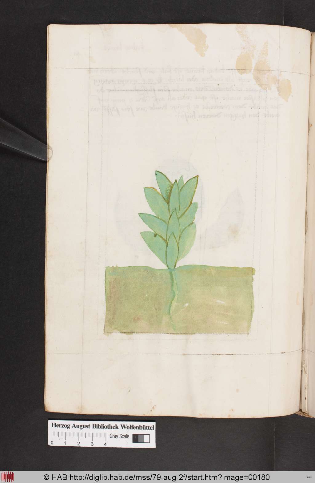 http://diglib.hab.de/mss/79-aug-2f/00180.jpg