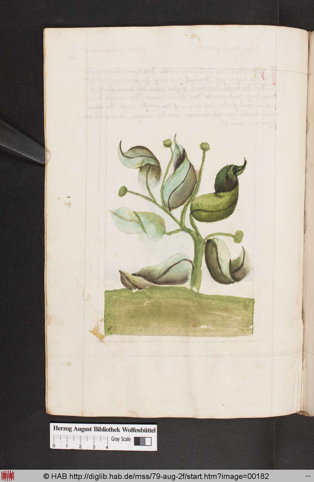 http://diglib.hab.de/mss/79-aug-2f/00182.jpg