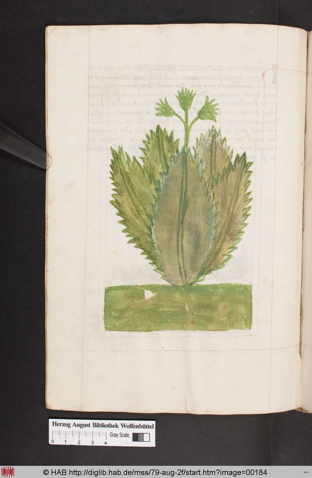 http://diglib.hab.de/mss/79-aug-2f/00184.jpg