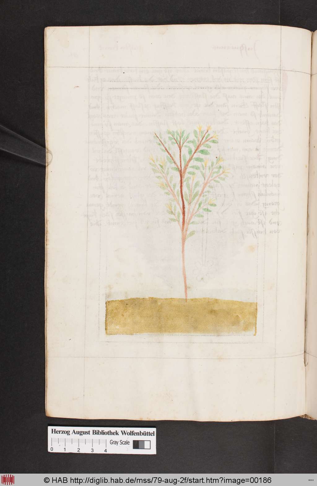 http://diglib.hab.de/mss/79-aug-2f/00186.jpg
