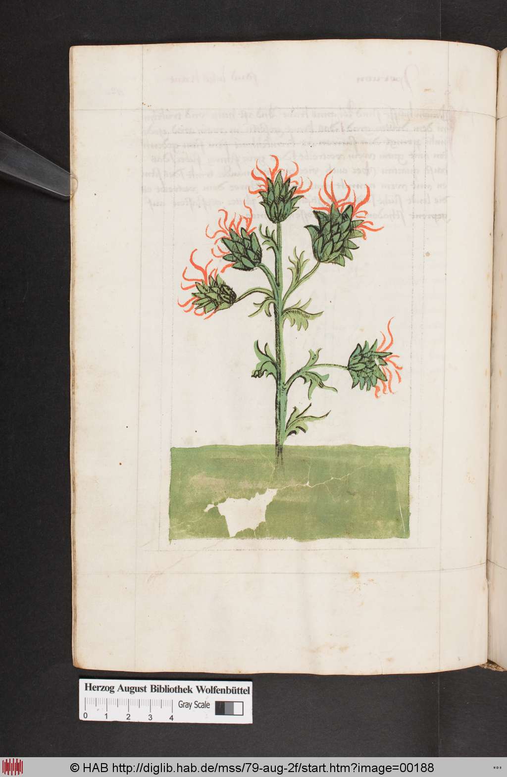 http://diglib.hab.de/mss/79-aug-2f/00188.jpg
