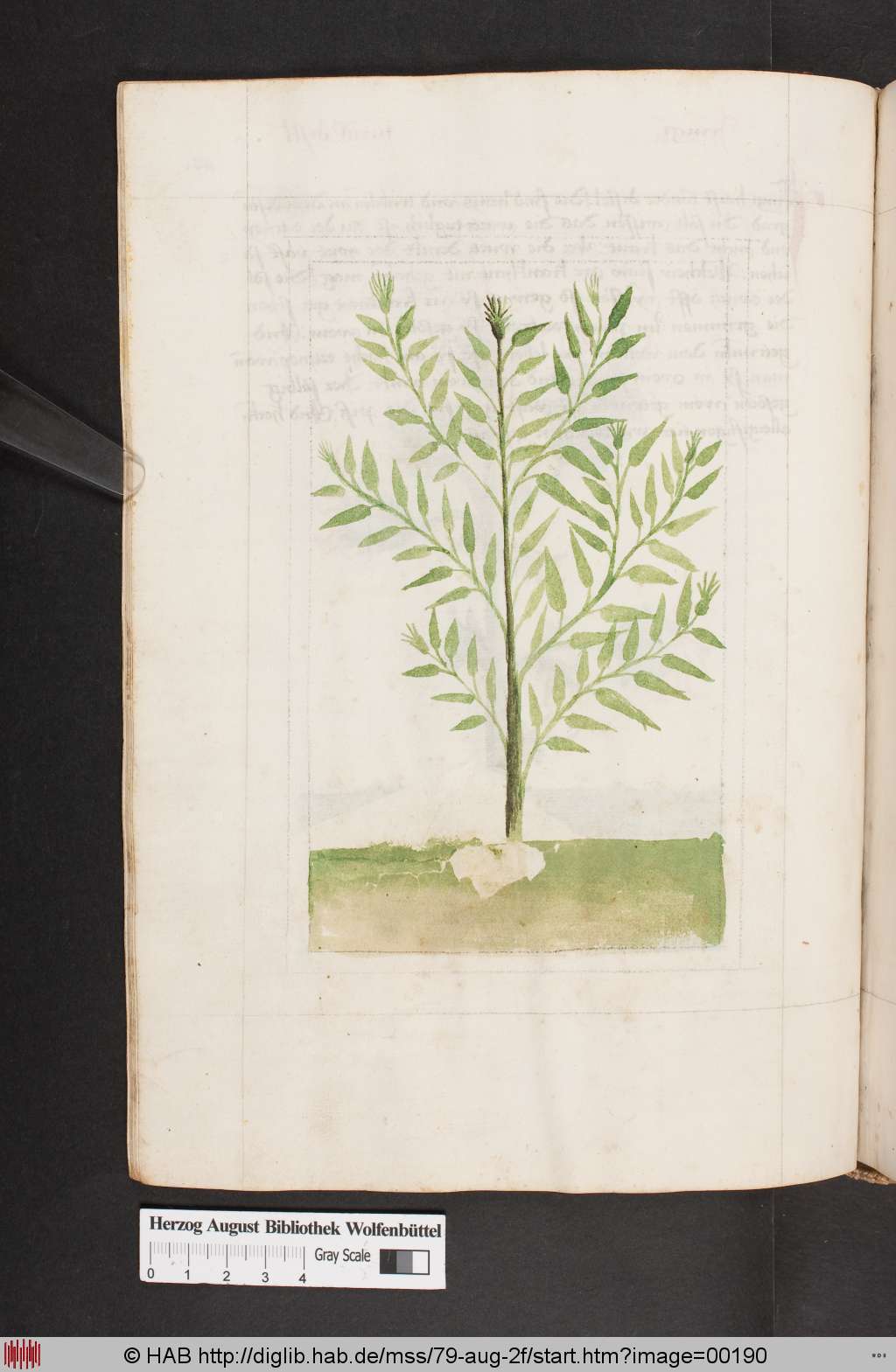 http://diglib.hab.de/mss/79-aug-2f/00190.jpg