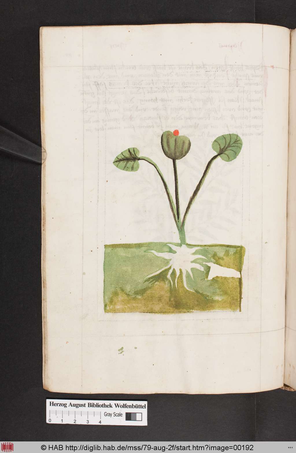 http://diglib.hab.de/mss/79-aug-2f/00192.jpg