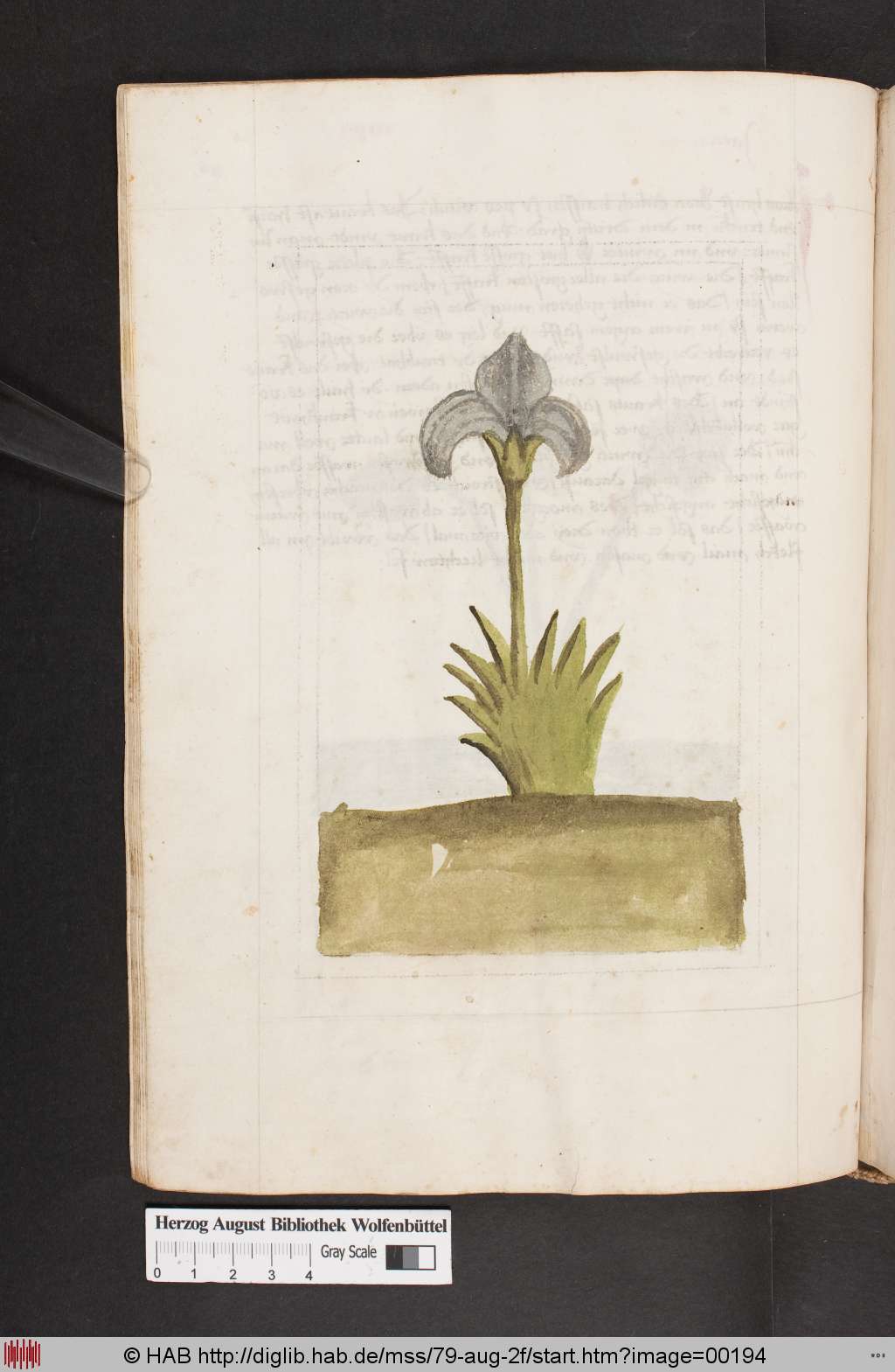 http://diglib.hab.de/mss/79-aug-2f/00194.jpg