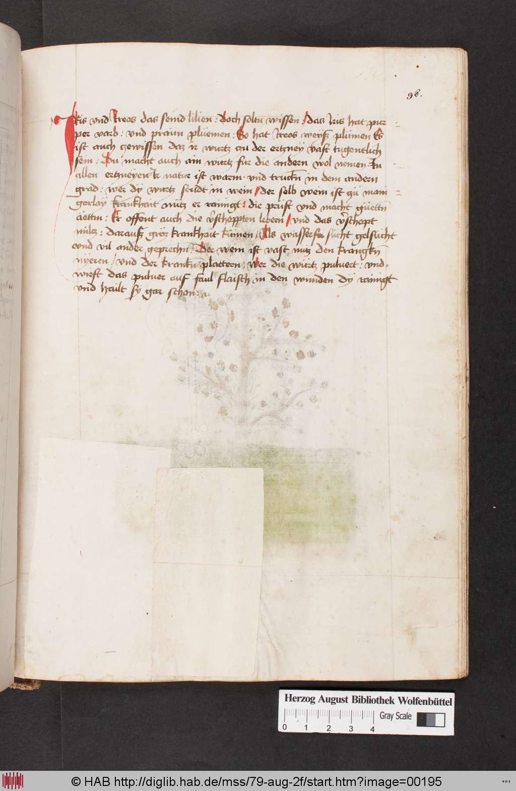 http://diglib.hab.de/mss/79-aug-2f/00195.jpg