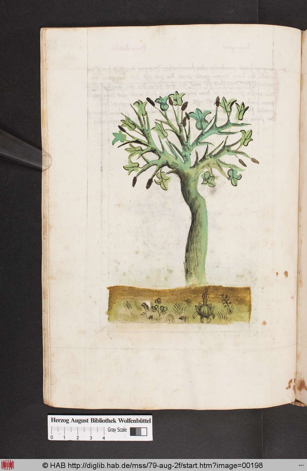 http://diglib.hab.de/mss/79-aug-2f/00198.jpg
