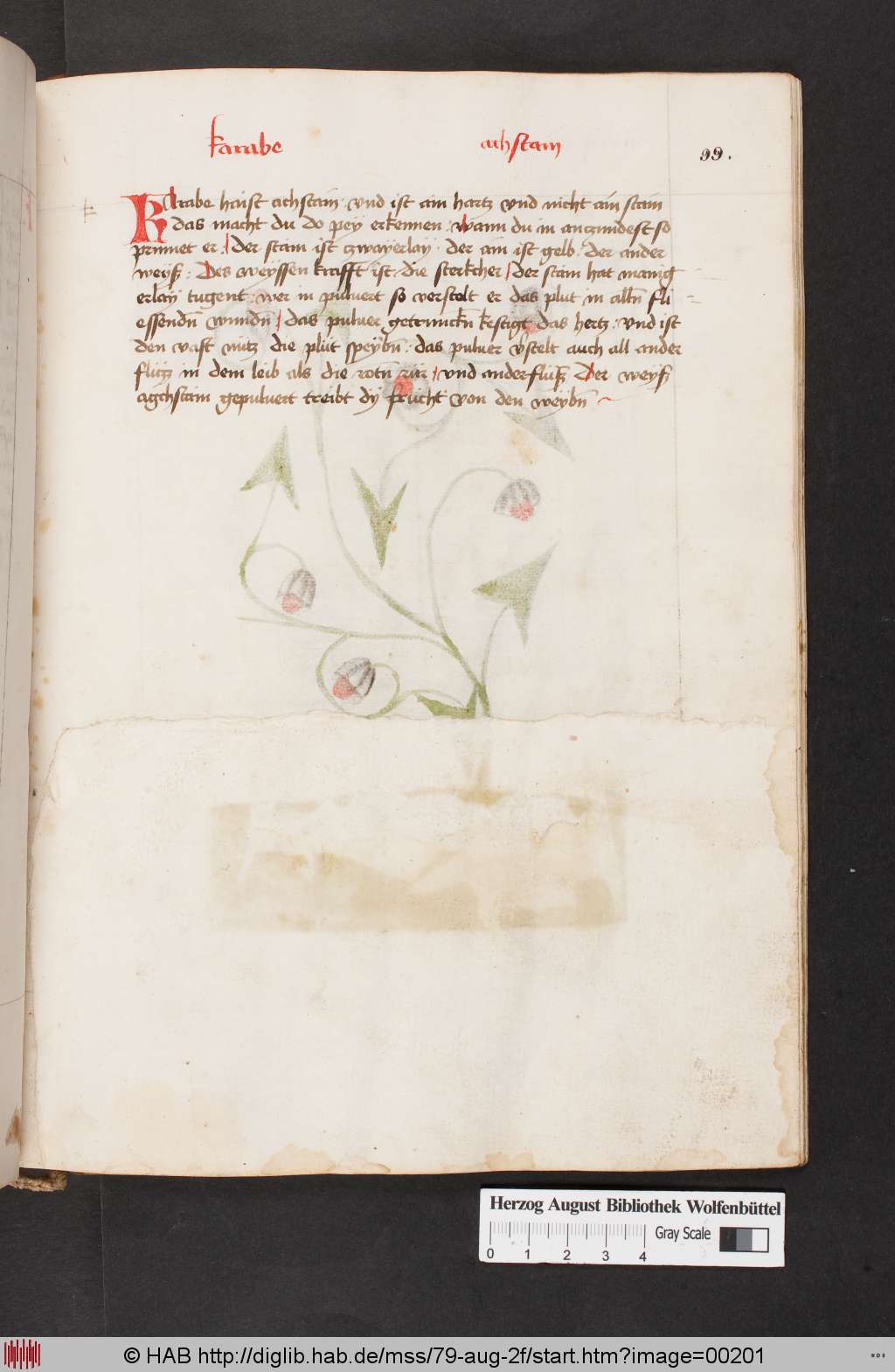 http://diglib.hab.de/mss/79-aug-2f/00201.jpg
