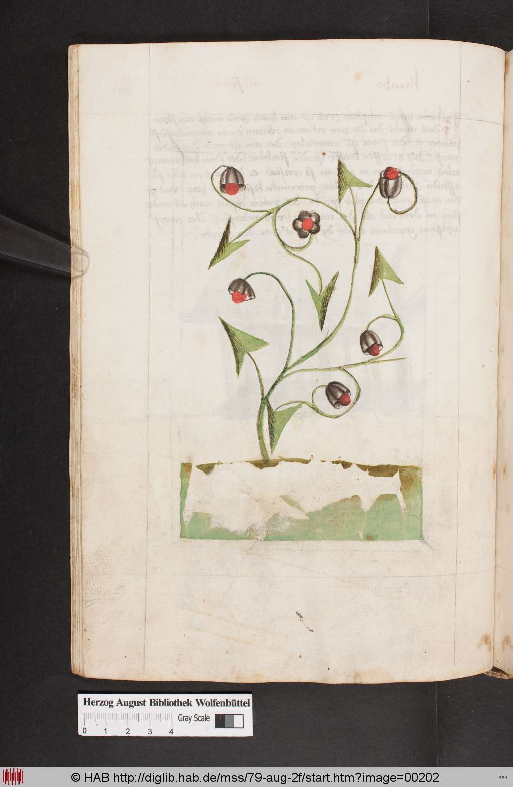 http://diglib.hab.de/mss/79-aug-2f/00202.jpg
