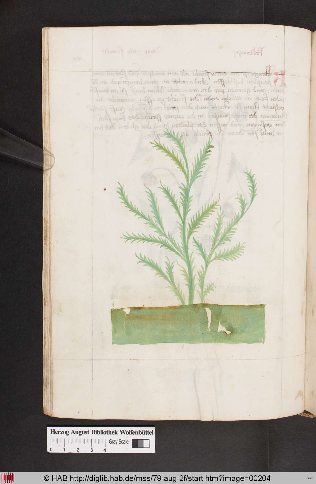 http://diglib.hab.de/mss/79-aug-2f/00204.jpg