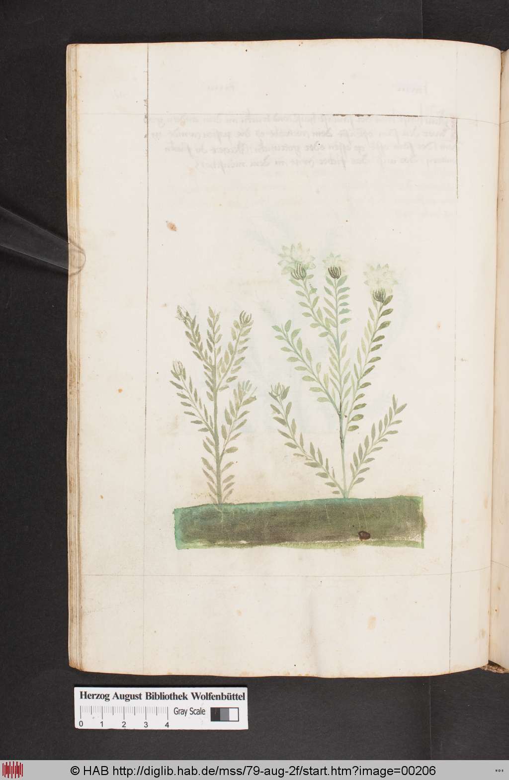 http://diglib.hab.de/mss/79-aug-2f/00206.jpg