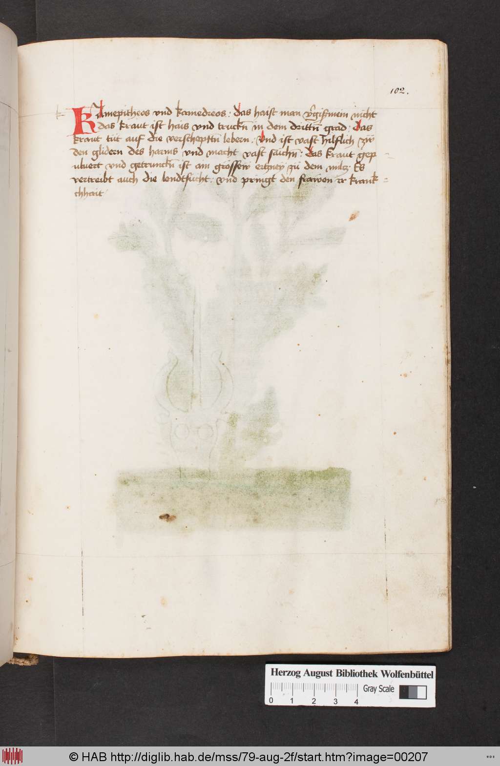 http://diglib.hab.de/mss/79-aug-2f/00207.jpg