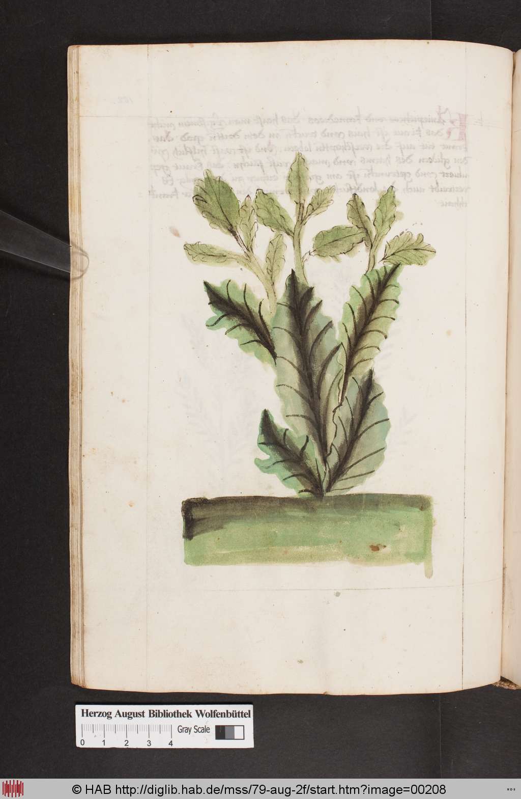 http://diglib.hab.de/mss/79-aug-2f/00208.jpg
